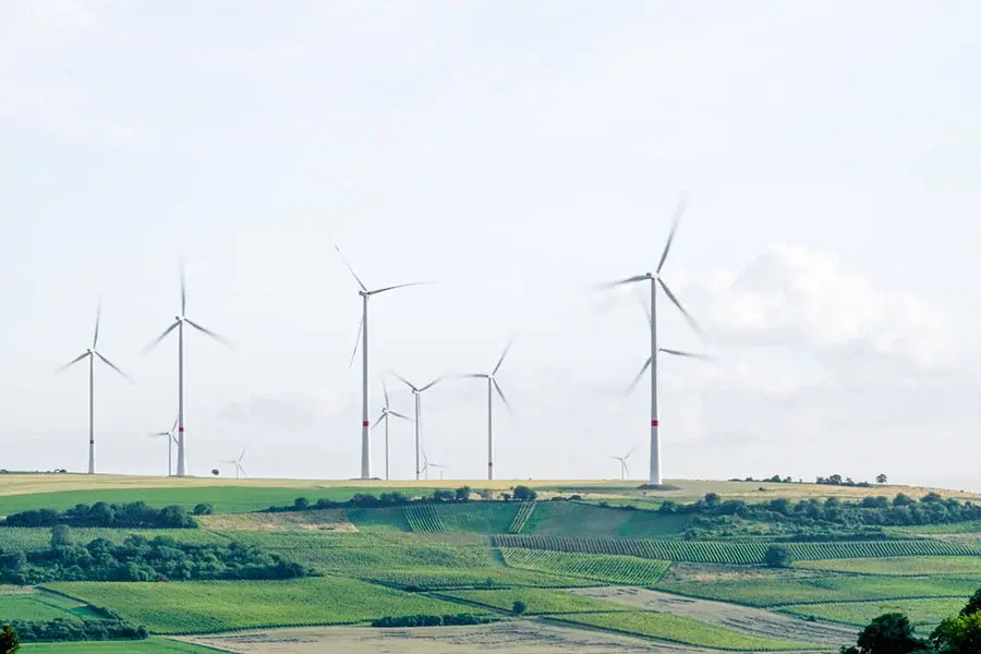 Nachhaltigkeit in der Gastronomie: Tipps & Praxis-Strategien